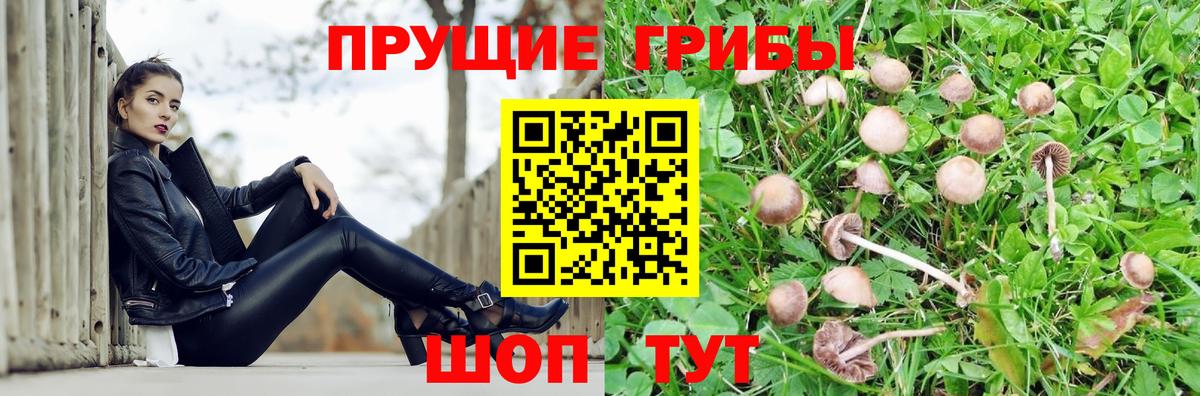 Галлюциногенные грибы ЛСД Обнинск